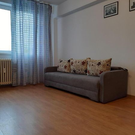 Ultracentral Apartment Bulevard Regele Mihai Nr 10, Sc A Ap 16 Timişoara Buitenkant foto