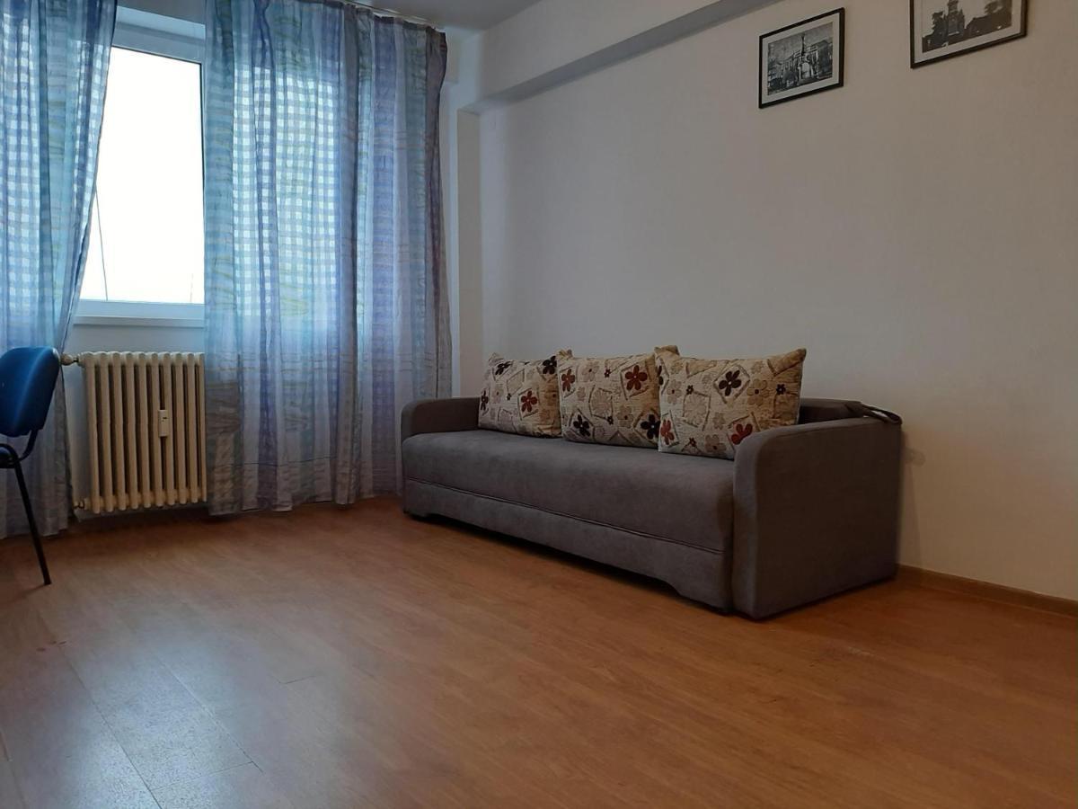 Ultracentral Apartment Bulevard Regele Mihai Nr 10, Sc A Ap 16 Timişoara Buitenkant foto